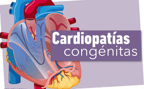 http://www.lacorameco.com.ar/imagenes/cardio.jpeg