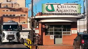 http://www.lacorameco.com.ar/imagenes/celulosa.jpg
