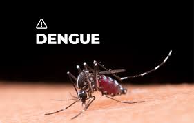 http://www.lacorameco.com.ar/imagenes/dengue.jpg