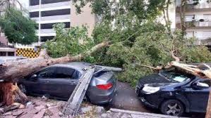 http://www.lacorameco.com.ar/imagenes/mardel_temporal.jpg
